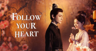 Follow Your Heart 2024