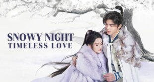 Snowy Night: Timeless Love 2024