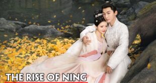 The Rise of Ning